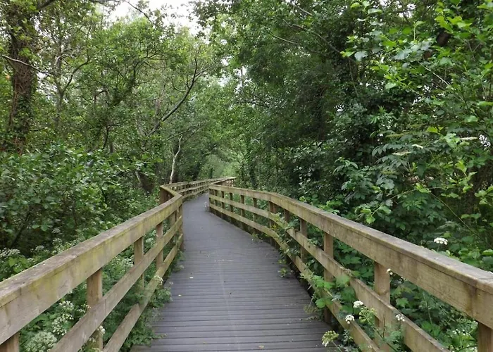 Red Row House Bed & Breakfast